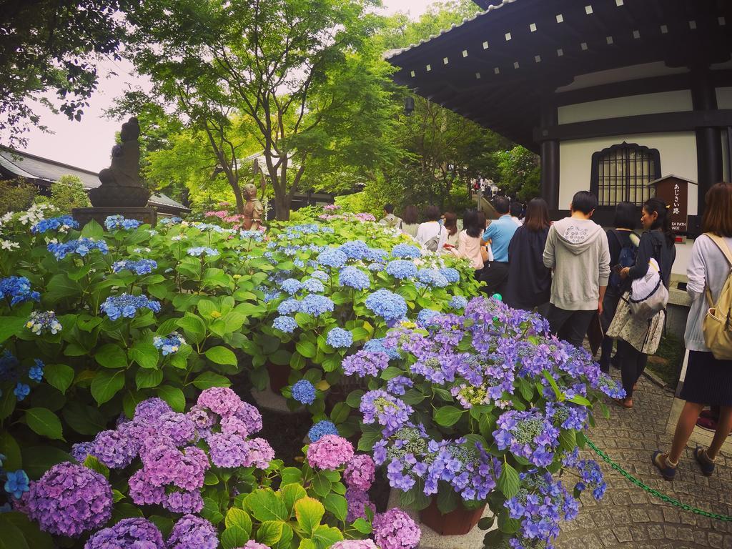 Iza Kamakura Guest House And Bar Εξωτερικό φωτογραφία
